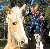 Celebrating Our Pets - Horses Pet Stories - A tip on handling horses who kicks!